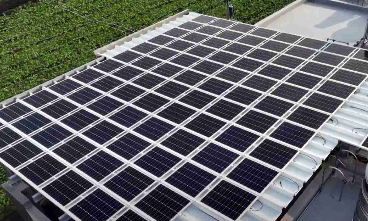 WepaySunSteel光电浪板升级双玻结构，，，，以提升机械负载强度及气候耐候度，，，，可广泛运用于多元场域