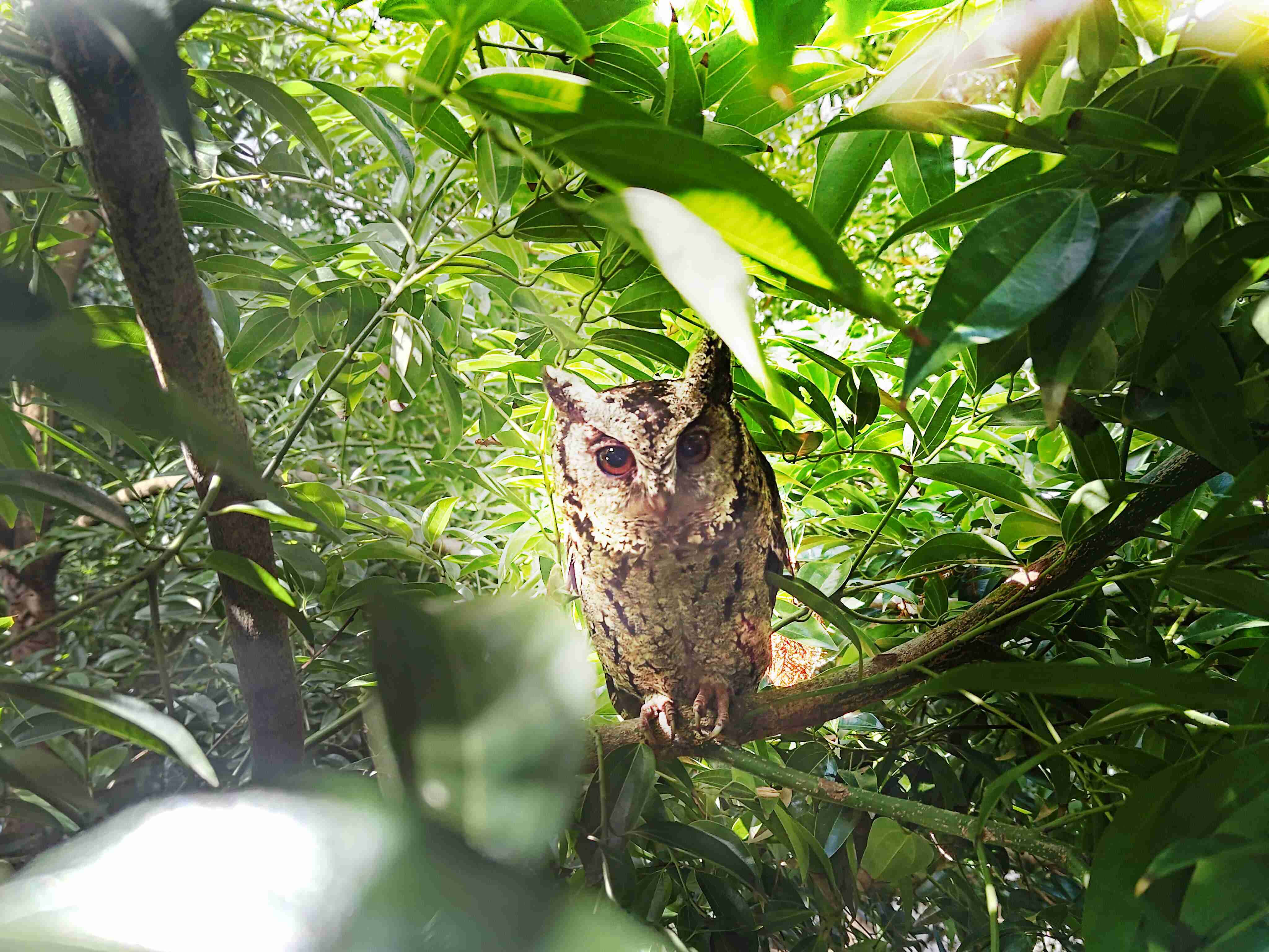 Wepay致力提倡净零绿生活，，16年以来在全球各厂区植树逾百万棵，，，，造就各厂区树木蔚然成林，，犹如森林工厂，，成为许多生物的栖息地